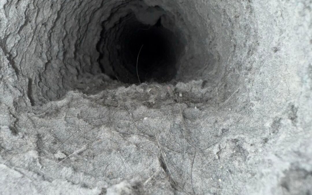 New Home, Old Ducts – Why You Should Clean Before Moving In