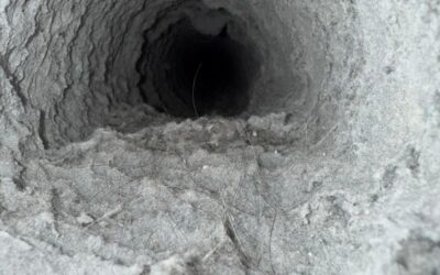 New Home, Old Ducts – Why You Should Clean Before Moving In