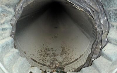 Professional Dryer Vent Cleaning in Arlington, WA – Keep Your Home Safe, Efficient, and Protected
