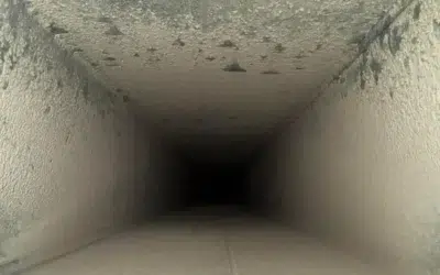 Professional Duct Cleaning vs. DIY – What Falls Church VA Homeowners Should Know