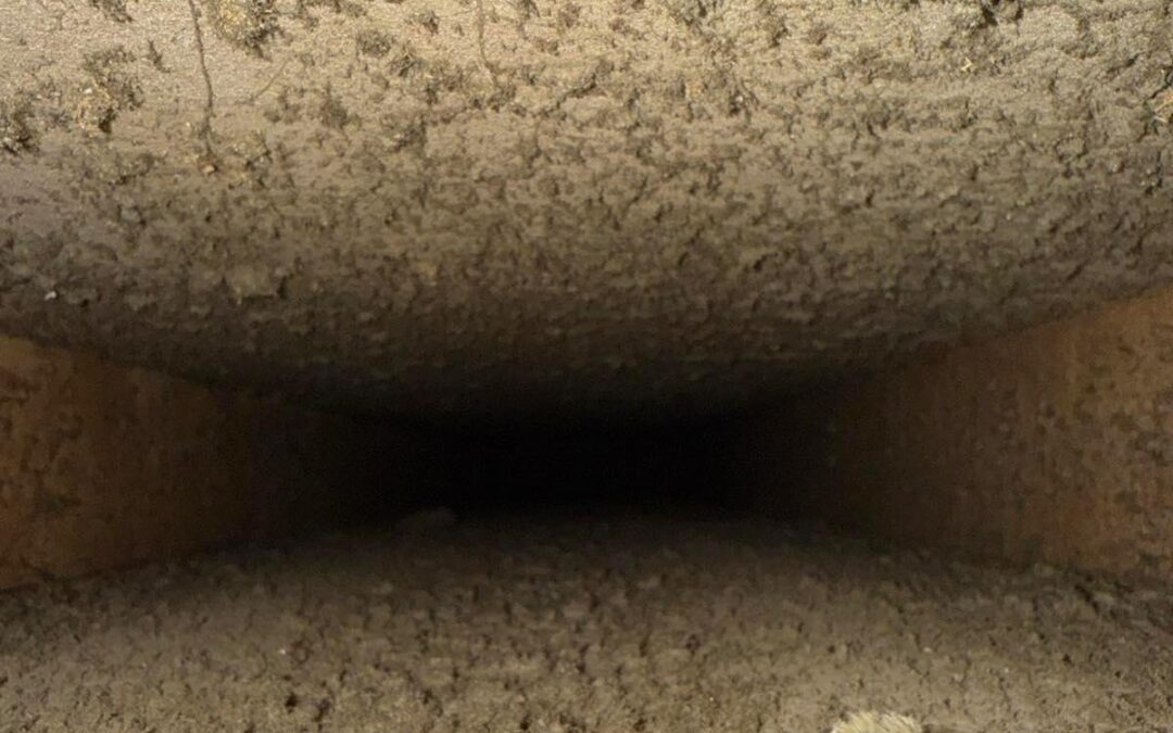 Top-Rated Affordable HVAC Air Duct Cleaning Near Me – EcoGreenPro LLC