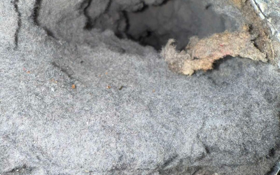 Dryer Duct Cleaning in Brandywine