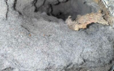 Dryer Duct Cleaning in Brandywine