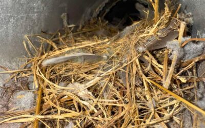 Air Duct Cleaning Near Me in McLean VA: What Homeowners Should Know