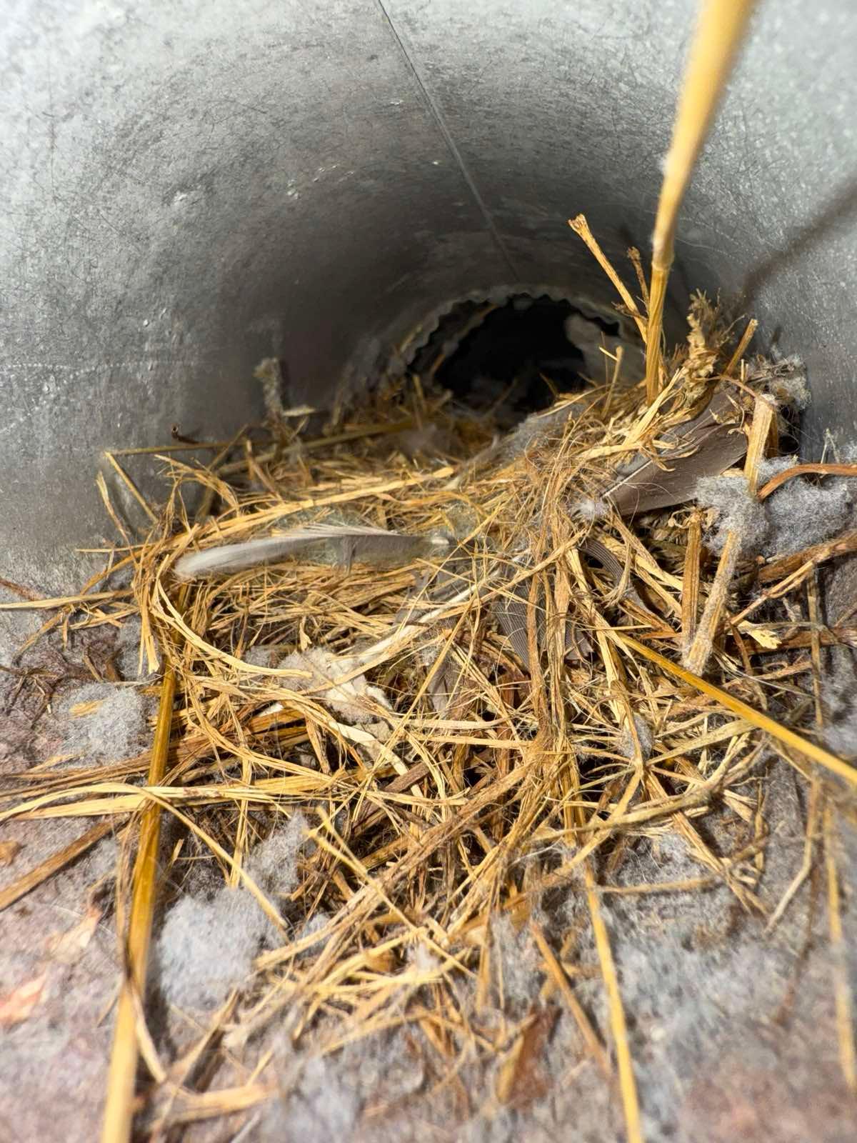 Air Duct Cleaning Near Me in McLean VA Air Duct Cleaning Near Me in McLean VA